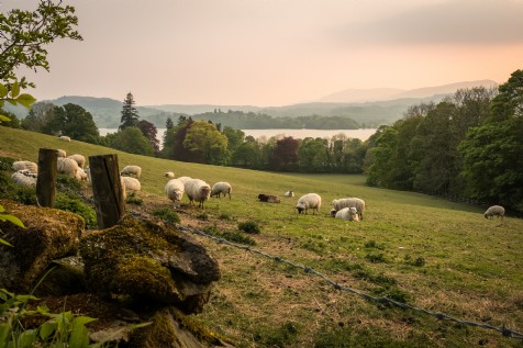 Staveley