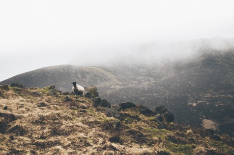 The Peak District